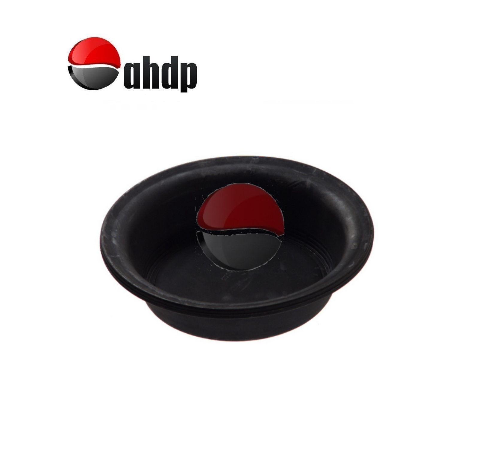 DIAPHRAGMS - AP0404237