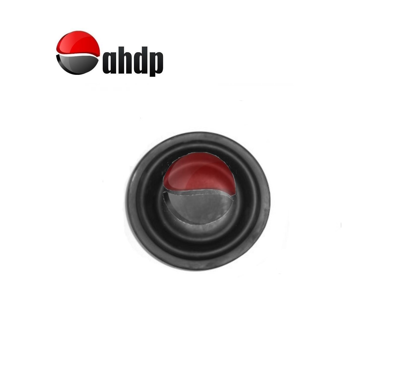 DIAPHRAGMS - AP04100098