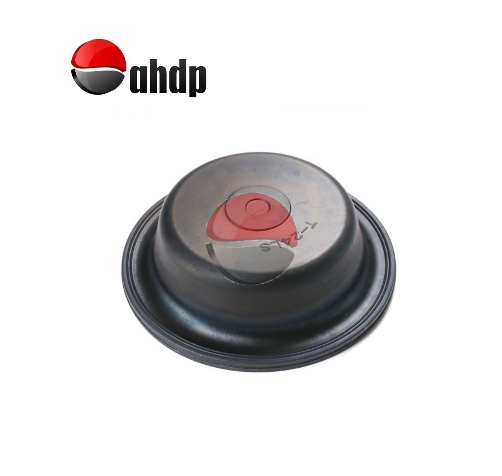 DIAPHRAGMS - AP0415407