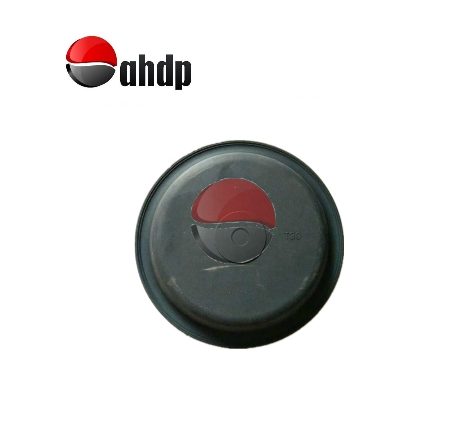 DIAPHRAGMS - AP0415408