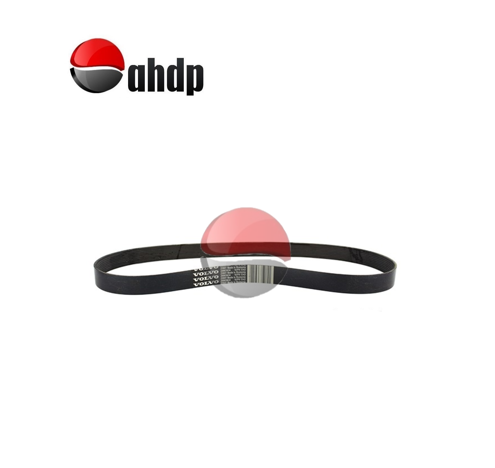 BELTS - BE0110PK1342