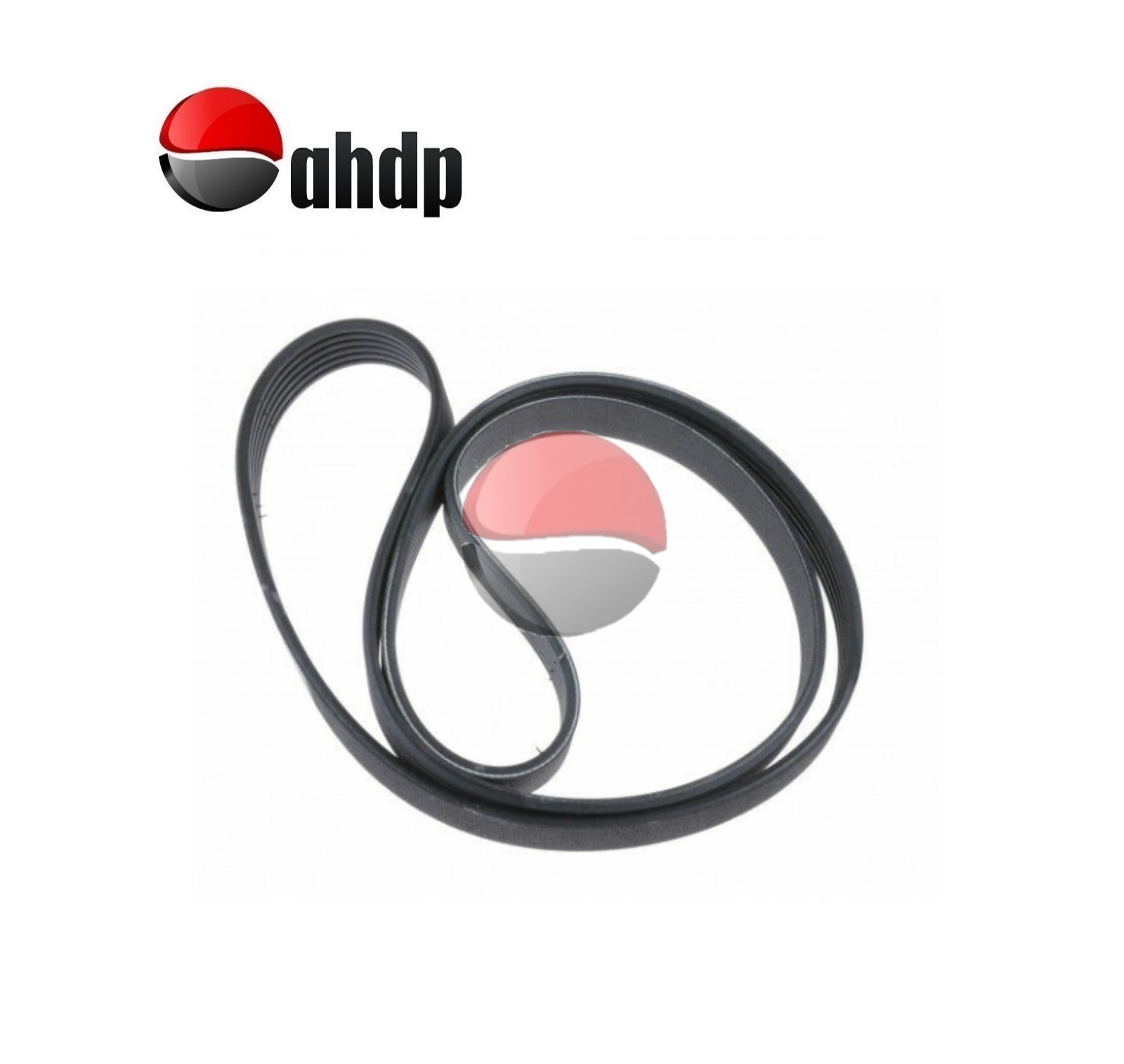 BELTS - BE014PK1041