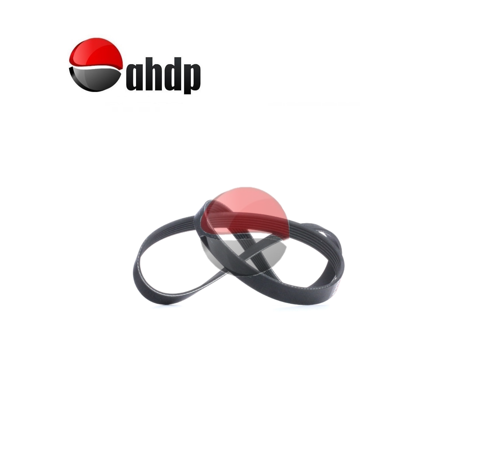 BELTS - BE016PK1113