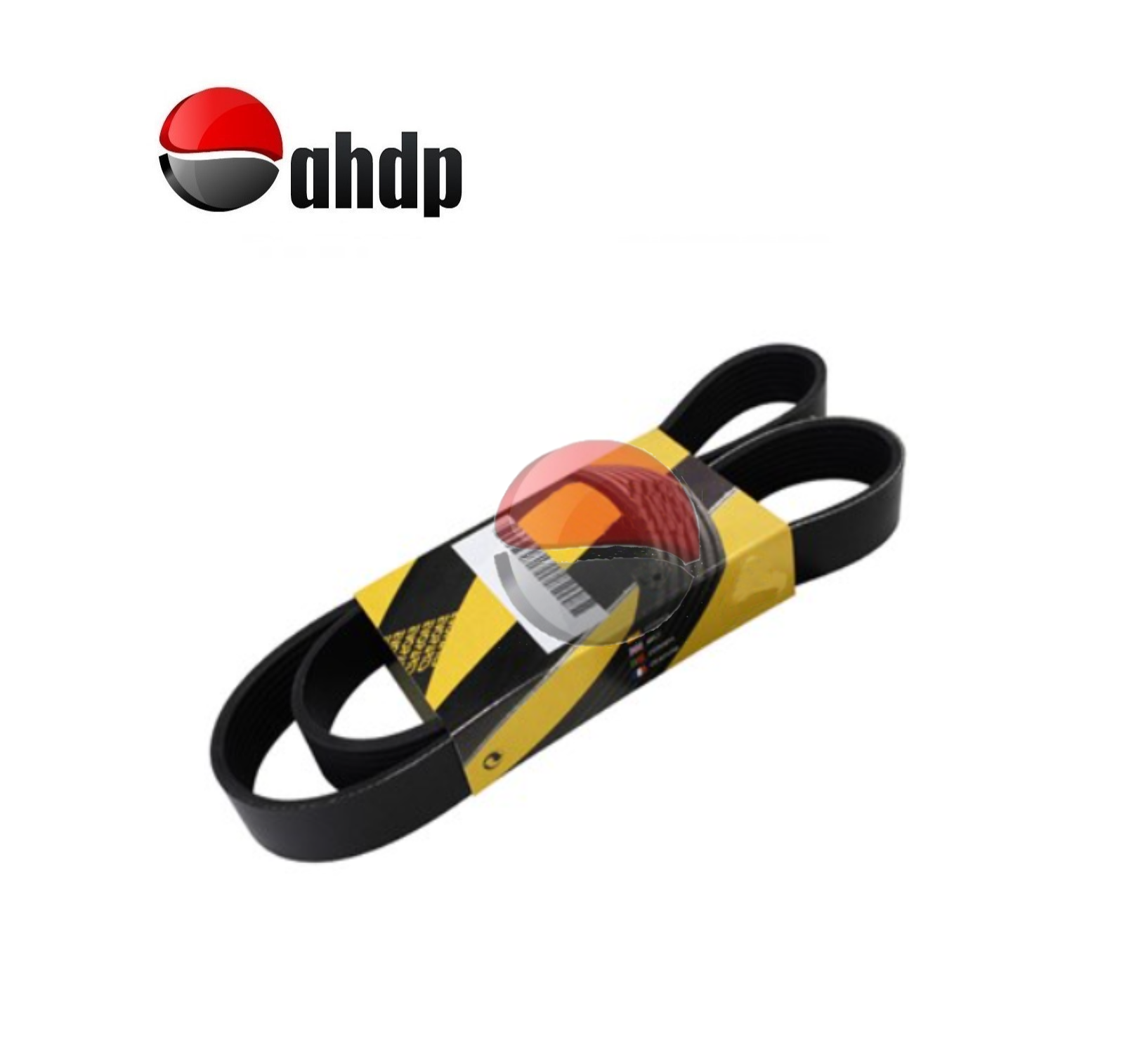 BELTS - BE018PK1013