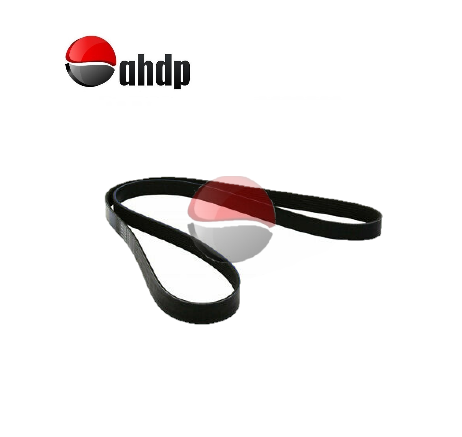BELTS - BE018PK800