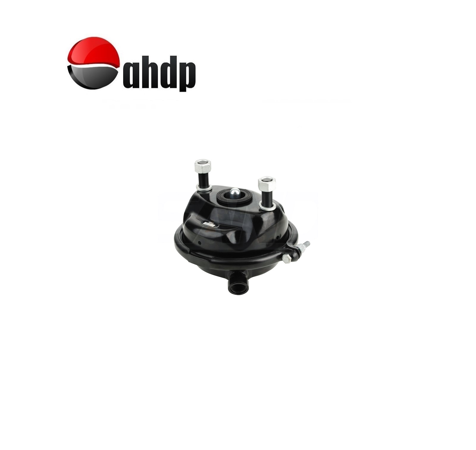 SPRING BRAKE CYLINDER TYPE 12  DAF - DA041392259