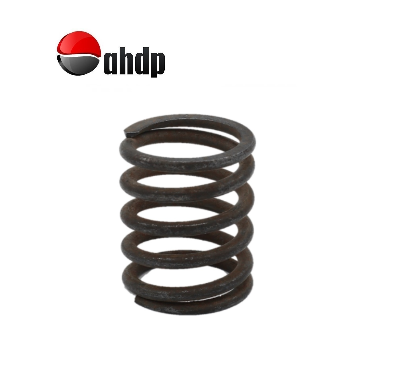 VALVE SPRING HATZ - HZ0103148501