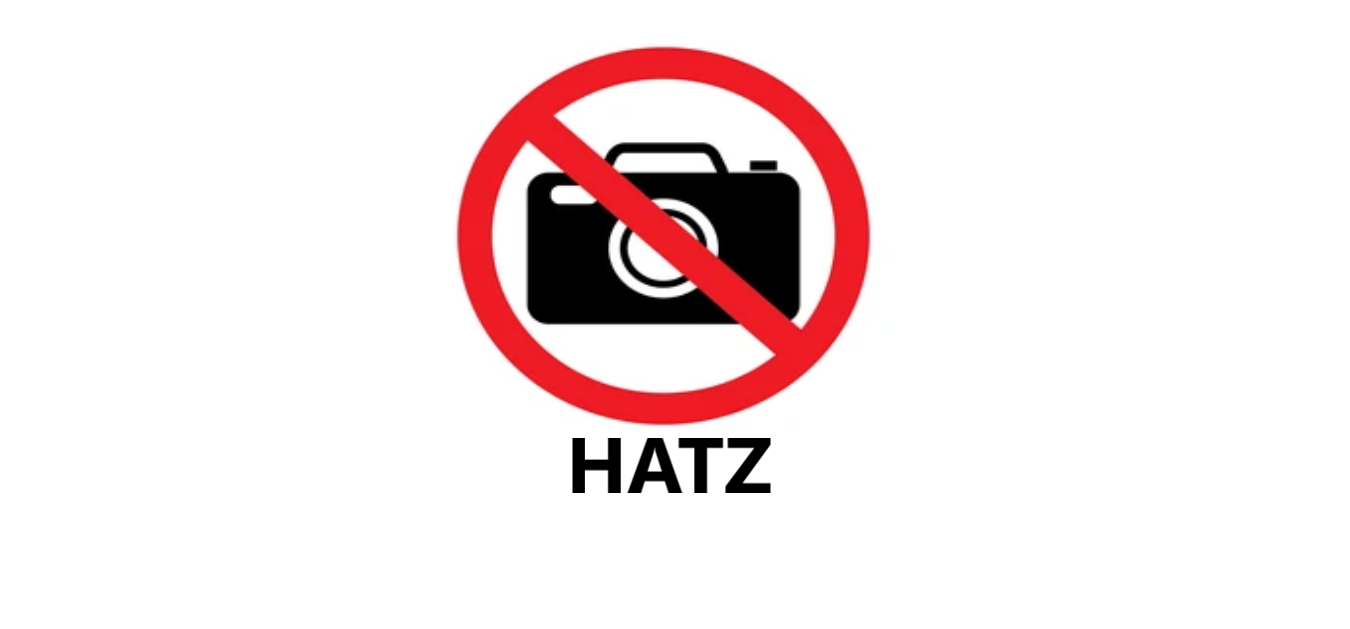 CON-ROD BUSH HATZ - HZ0103785300