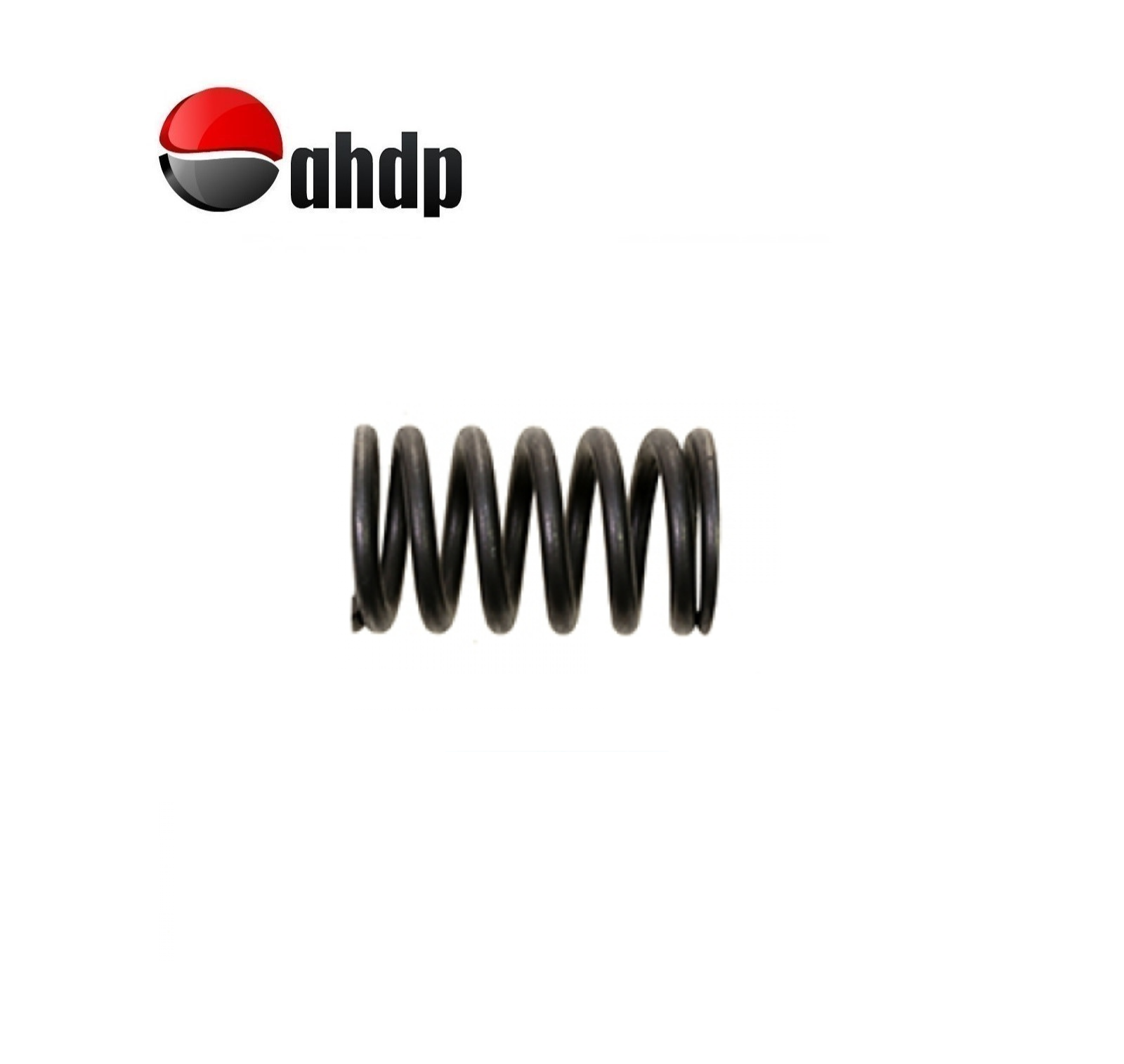 VALVE SPRING - IV014895073