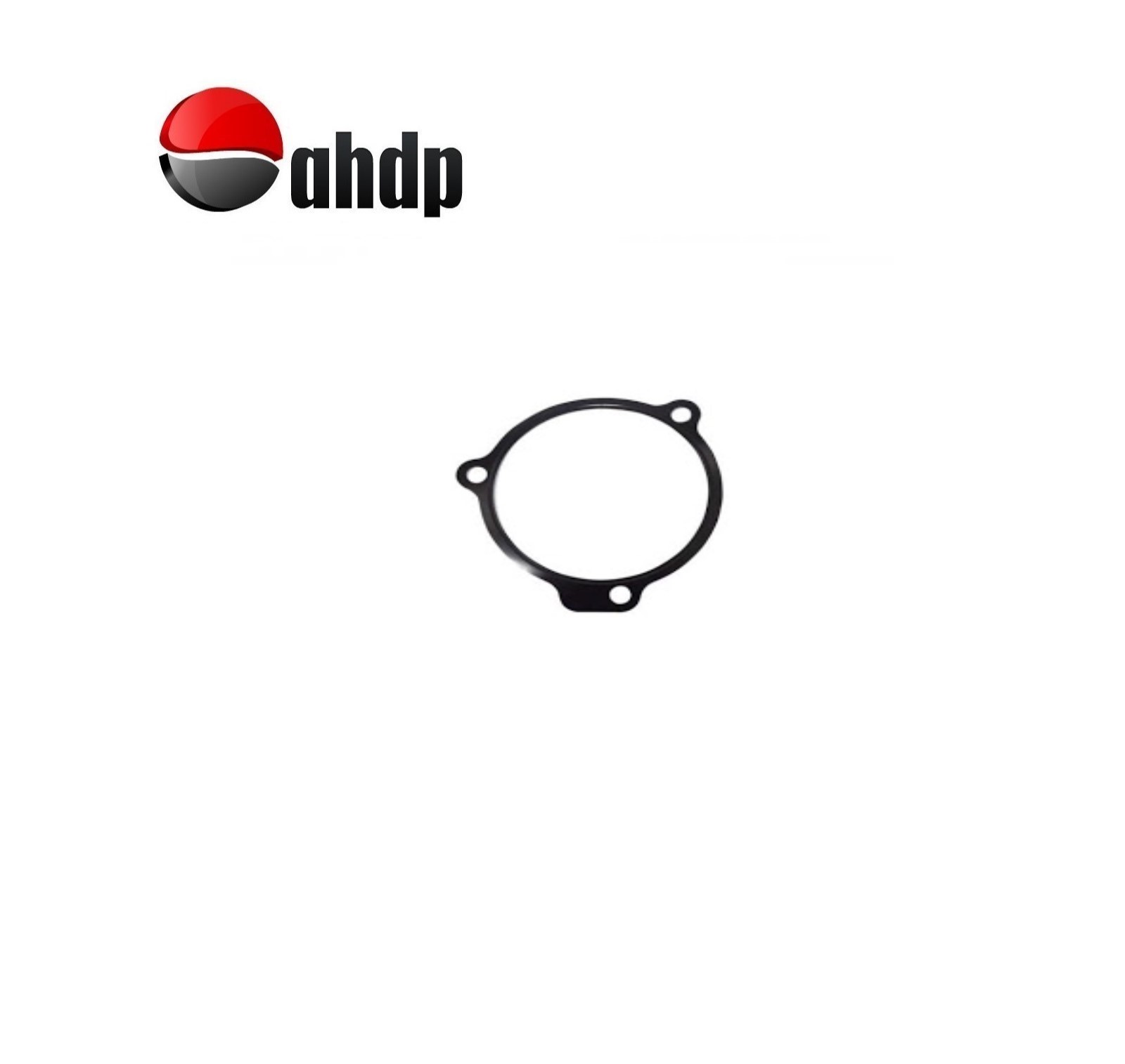 GASKET FUEL PUMP IVECO - IV01504045787