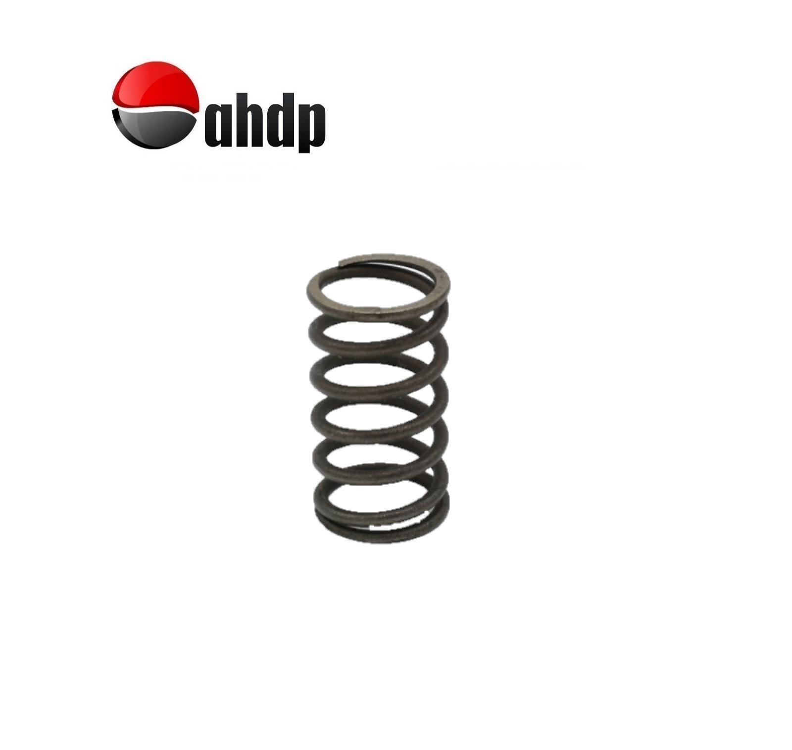 VALVE SPRING LOMBARDINI - LI015755004