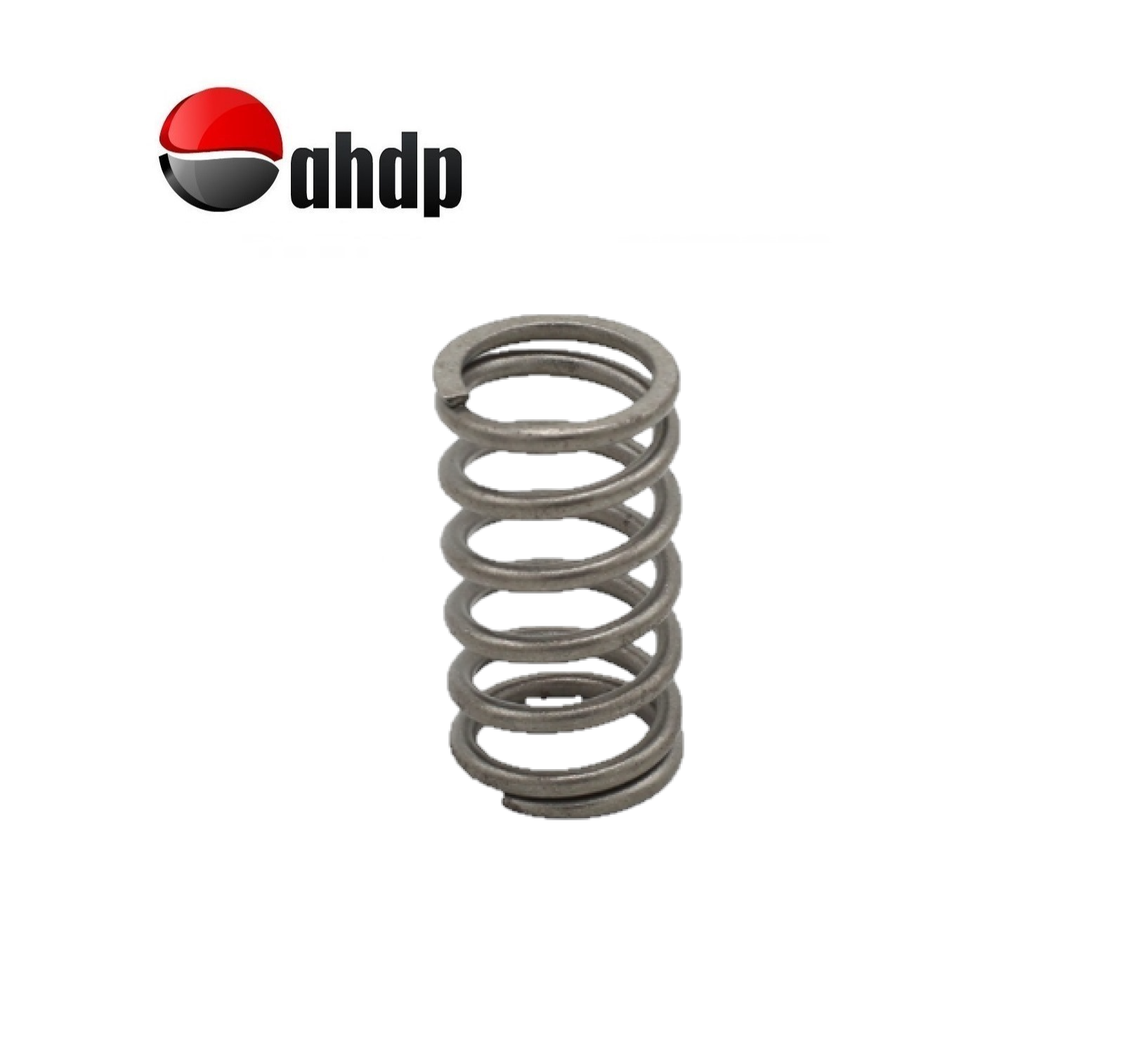 VALVE SPRING LOMBARDINI - LI015755005