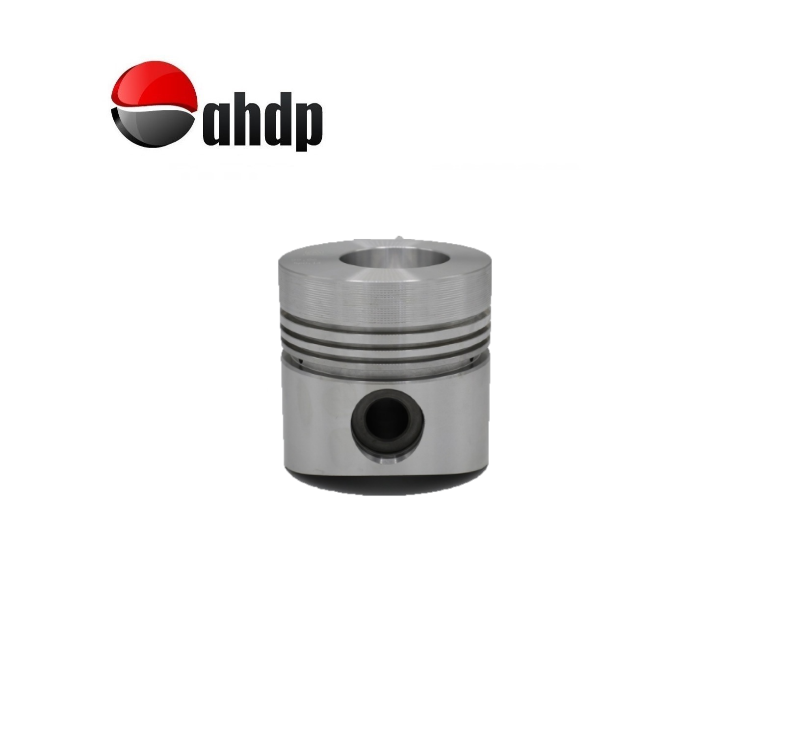 PISTON STD DIAMETER 100.00 M/M LOMBARDINI - LI016500154