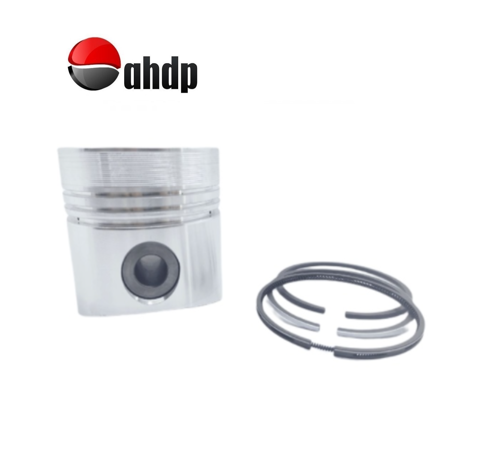 PISTON + PISTON RING SET 1.00 DIAMETER 101.00 M/M LOMBARDINI - LI016500668-S