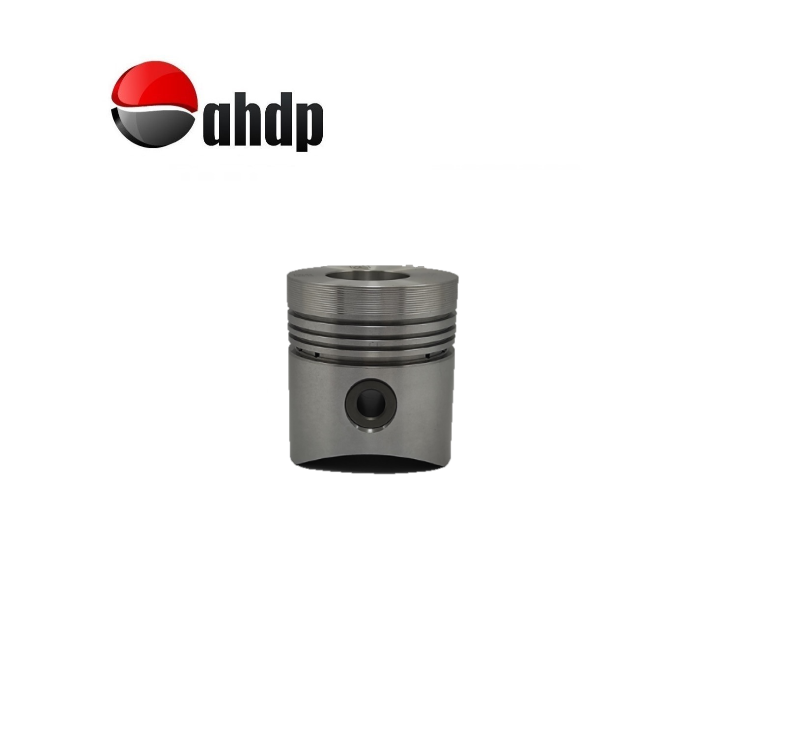 PISTON 1.00 DIAMETER 101.00 M/M LOMBARDINI - LI016501023