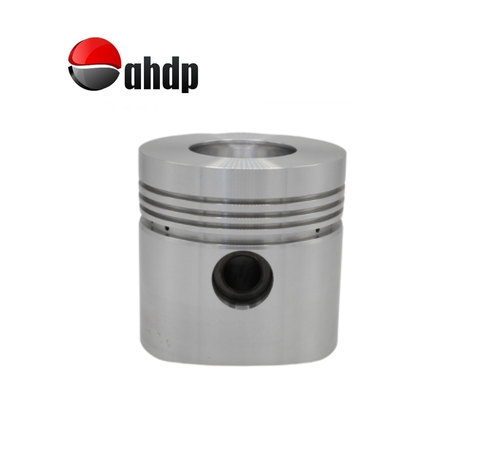 PISTON 1.00 DIAMETER 106.00 M/M RUGGERINI - RU012349