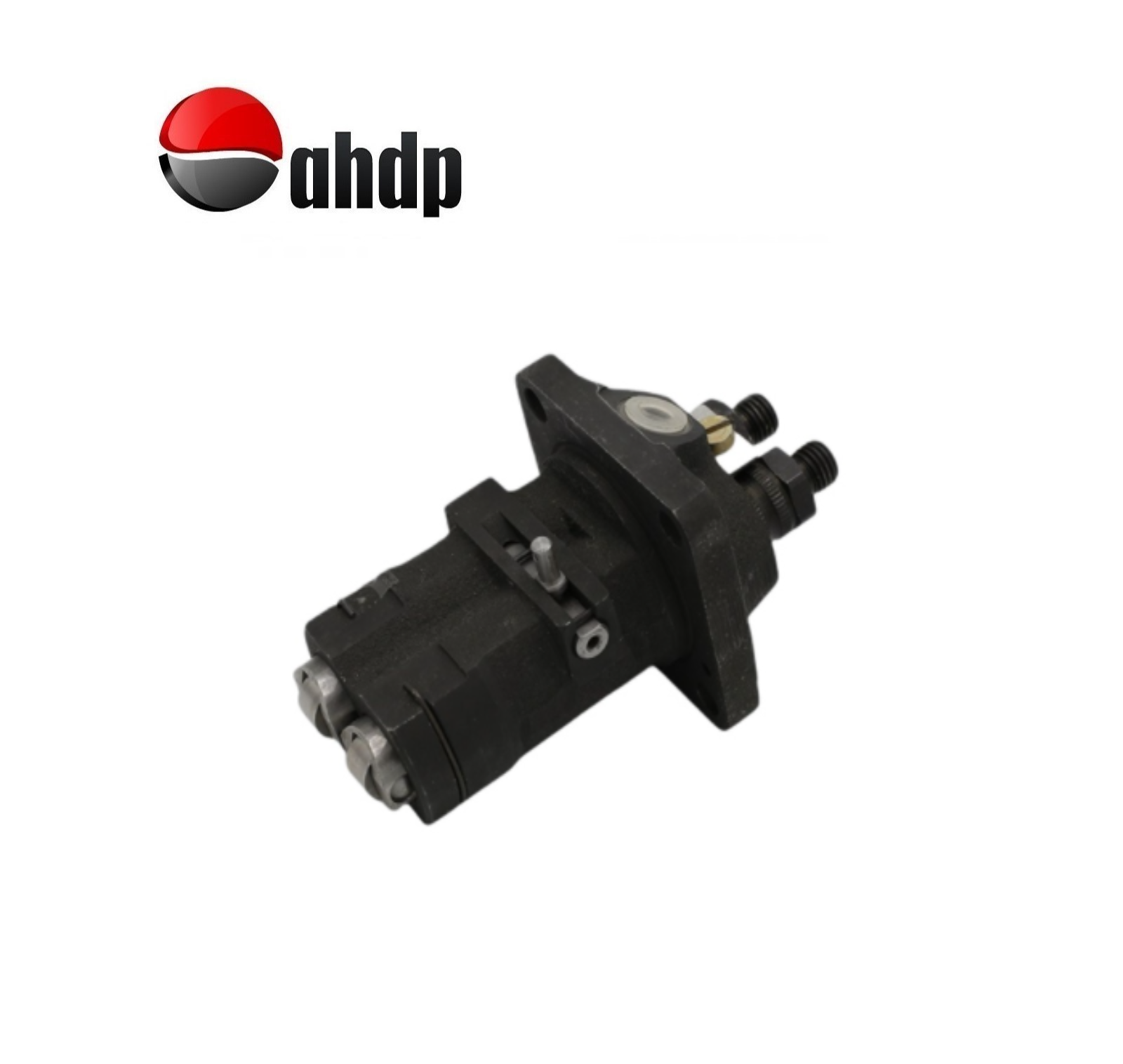 INJECTION PUMP RUGGERINI - RU0165619