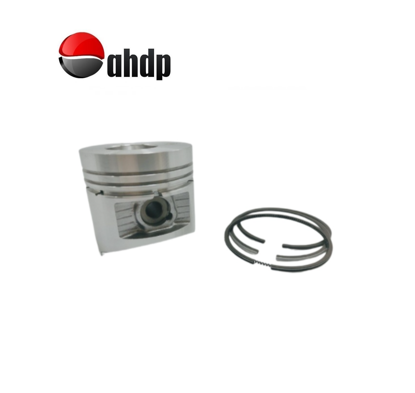 PISTON + PISTON RING SET 1.00 DIAMETER 79.00 M/M RUGGERINI - RU01PPRS100RY70