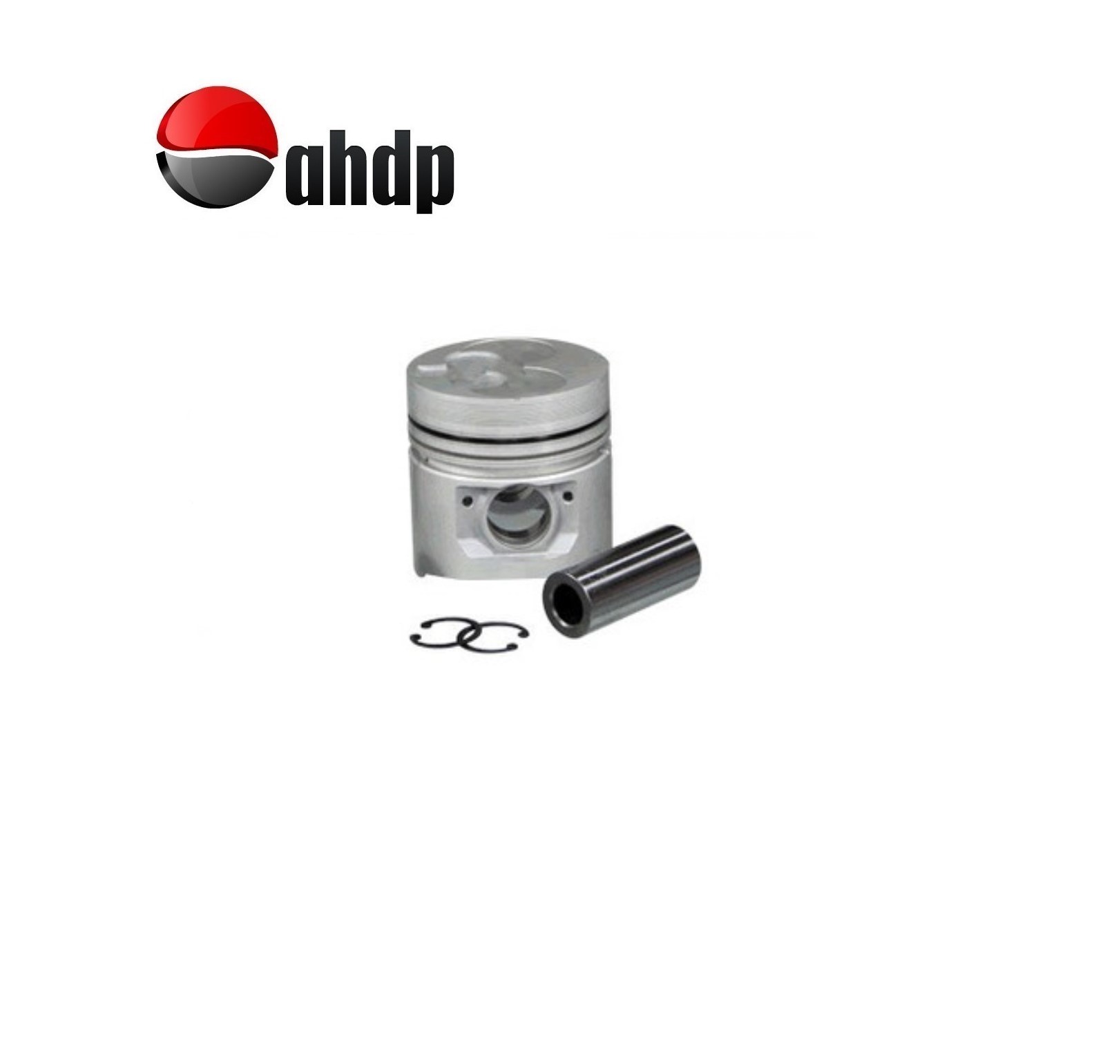 PISTON W/PIN STD TOYOTA 1DZ - T01131017820371